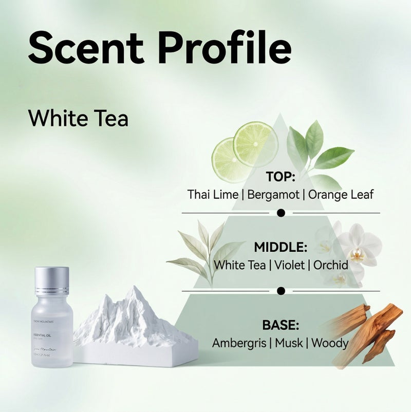 مجموعة هدية حجر العطر بالشاي الأبيض على شكل جبل جليدي - مزيل رائحة بدون نار - Image 2
